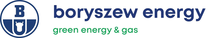 Logo firmy Boryszew Green Energy & Gas Sp. z o.o.